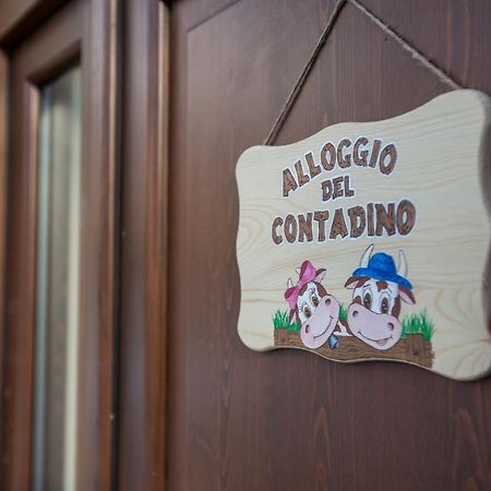 Alloggio Del Contadino Sondrio Exterior foto