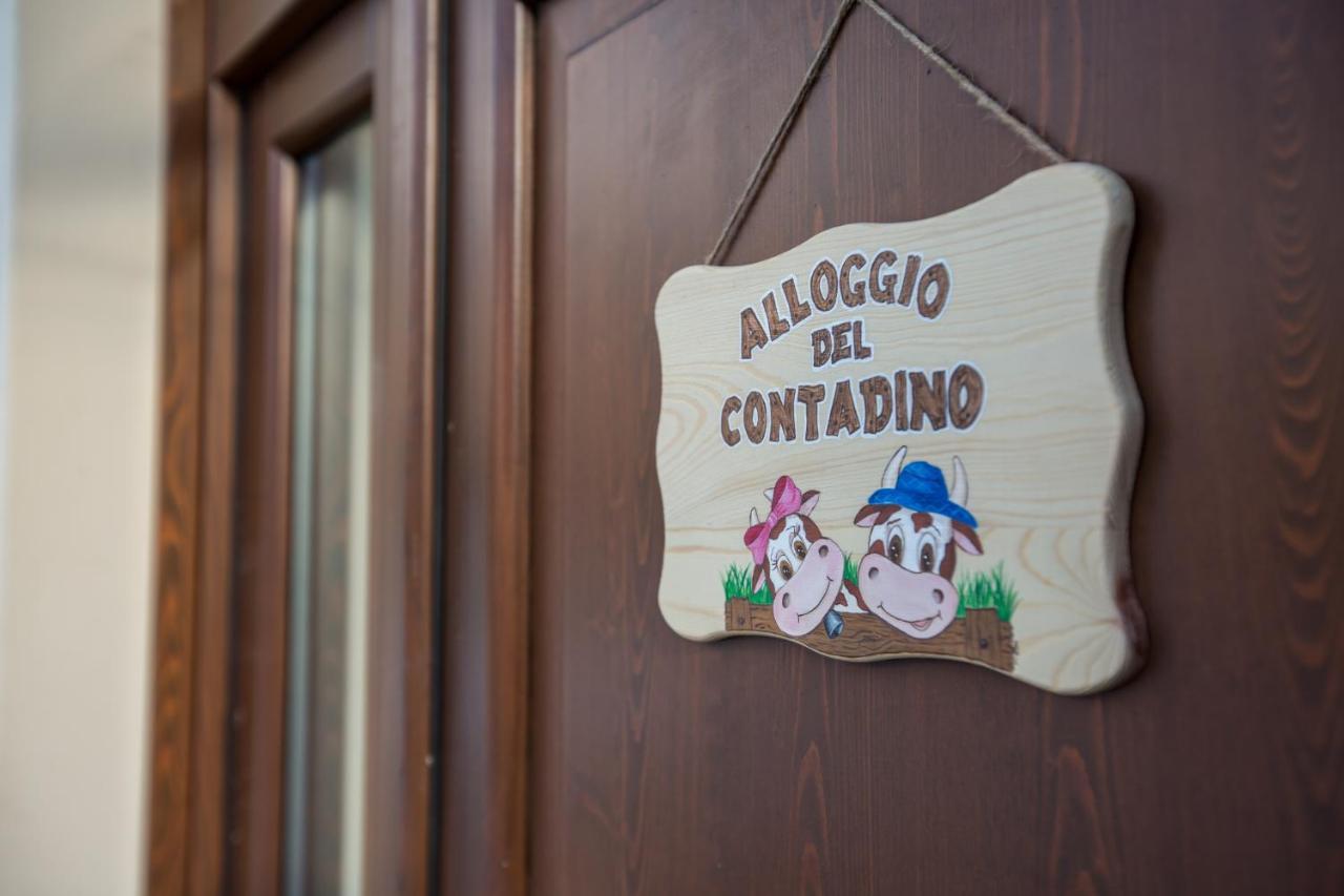 Alloggio Del Contadino Sondrio Exterior foto